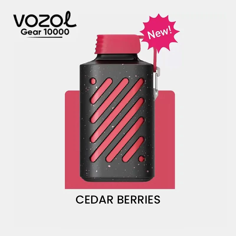 Vozol-Gear-10000-cedar-berries.webp Vozol Gear 10000 Cedar Berries - Görsel 1